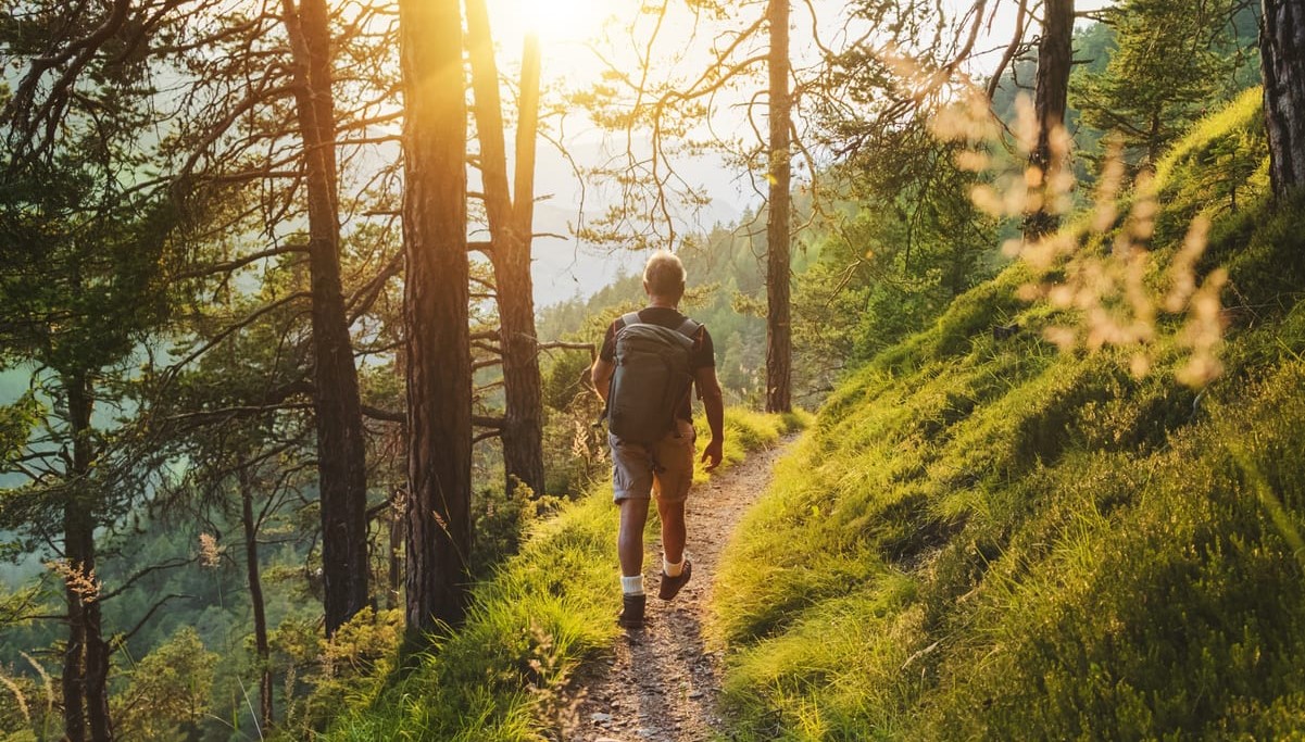 Homme dans une belle forêt avec un sac à dos s'éloignant